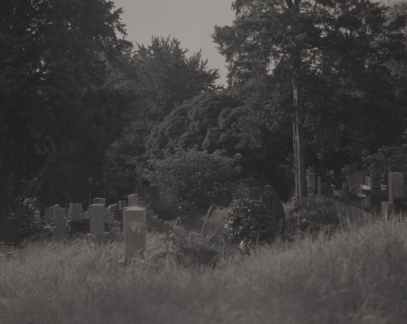 London Photography Awards Winner - Drifts of Memory