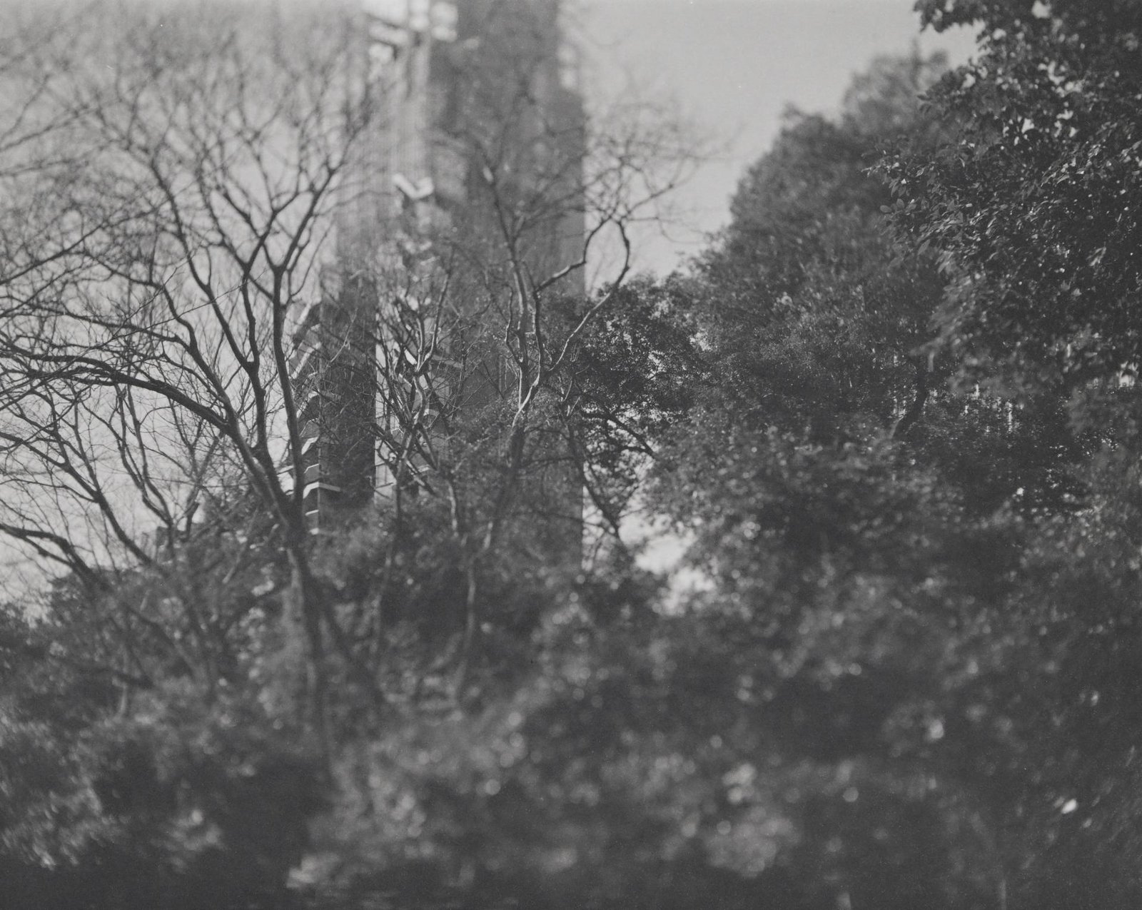 London Photography Awards Winner - Drifts of Memory