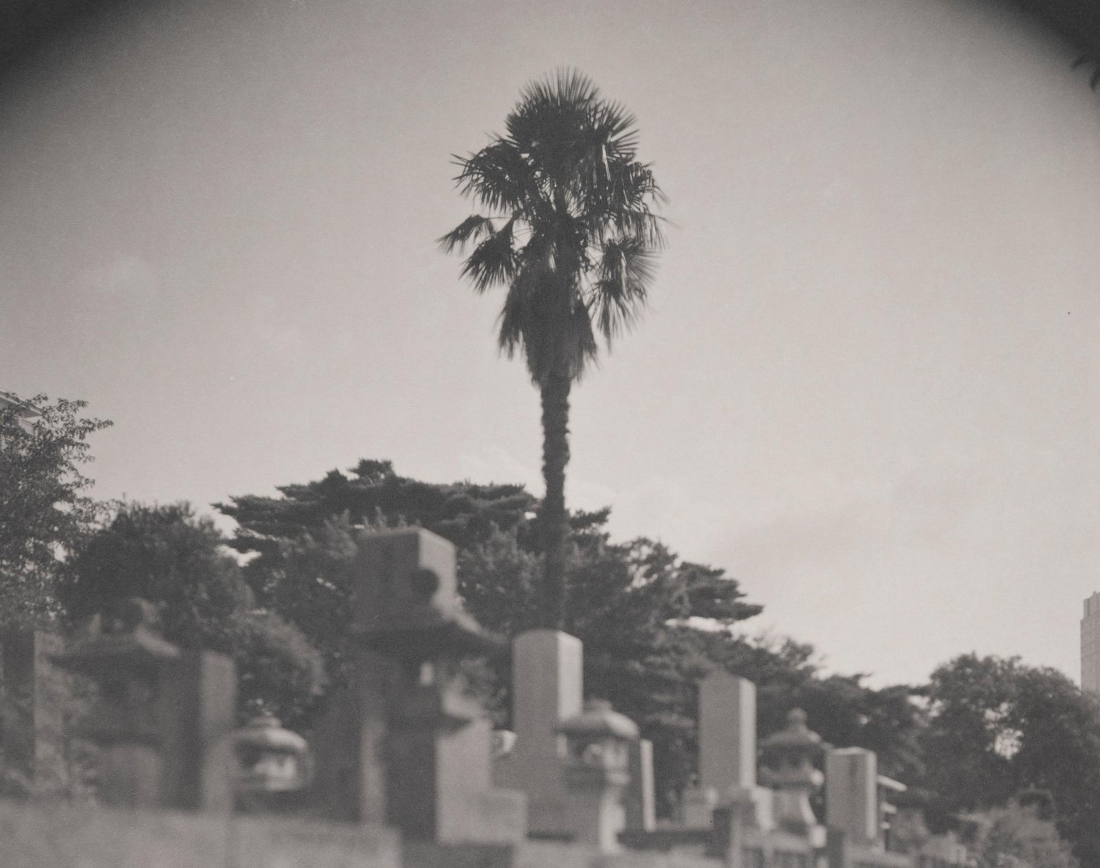 London Photography Awards Winner - Drifts of Memory
