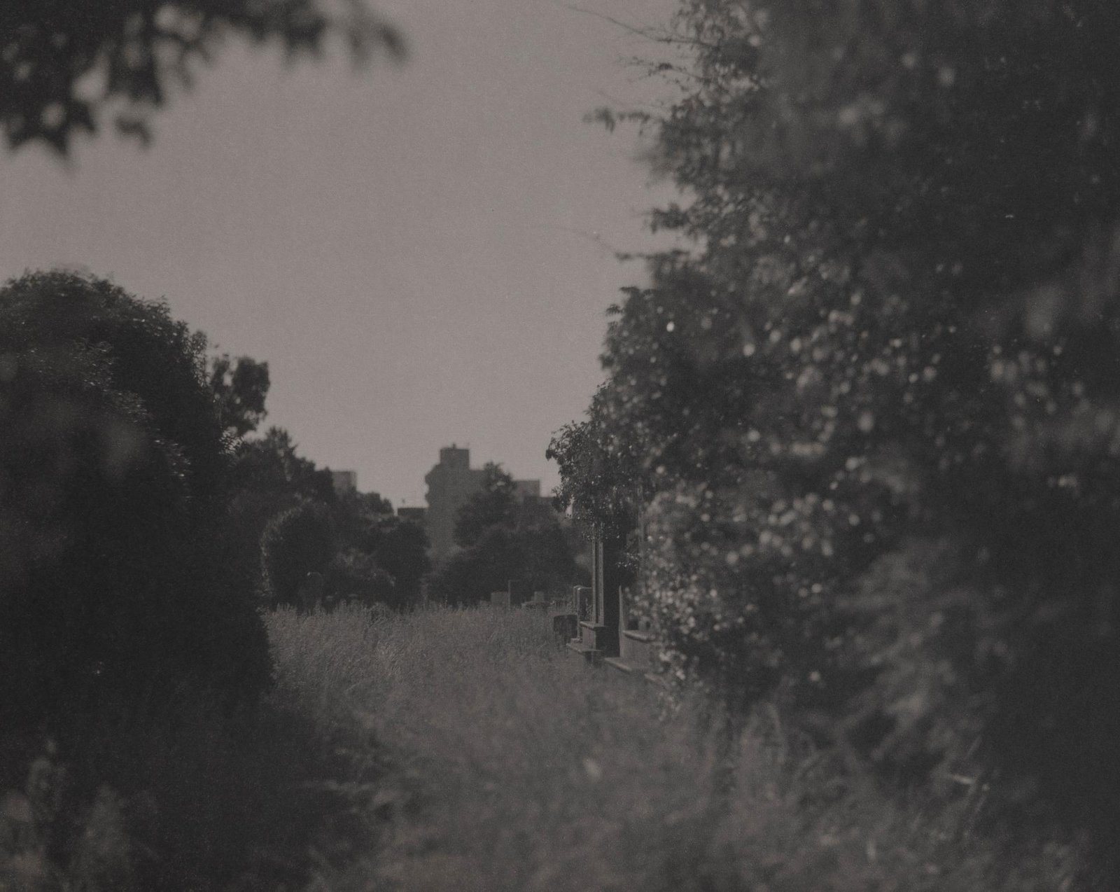 London Photography Awards Winner - Drifts of Memory