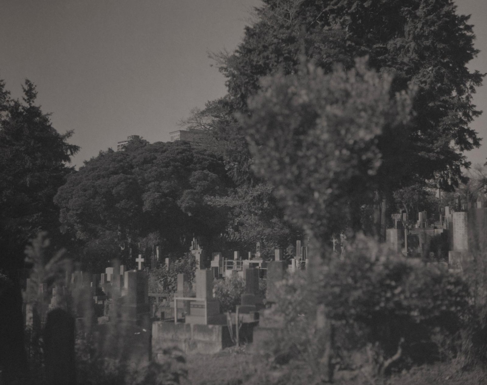 London Photography Awards Winner - Drifts of Memory