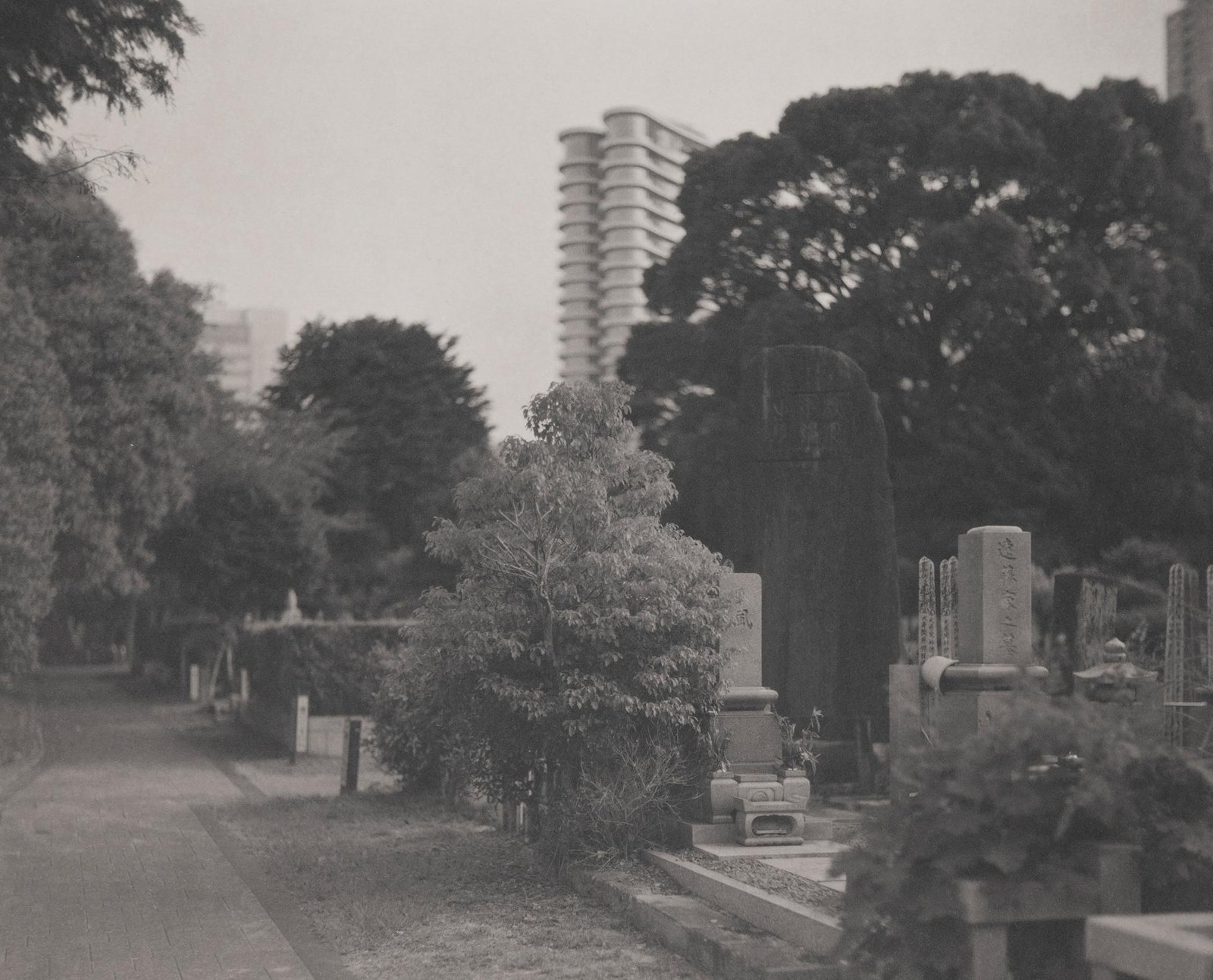 London Photography Awards Winner - Drifts of Memory