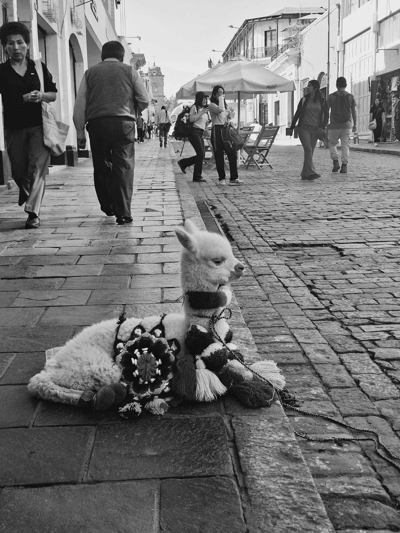 London Photography Awards Winner - Momentos únicos de la fotografía 